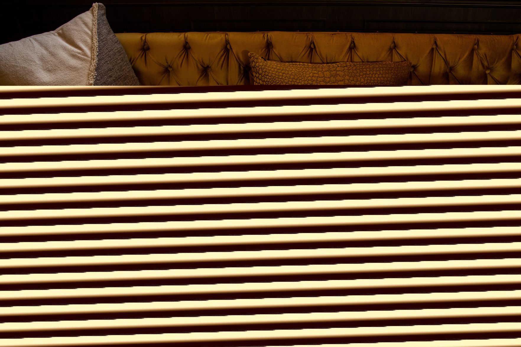 20201115_new_cottonwood_ar09
